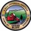 Cedar Bluff Police Department